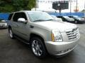 Quicksilver - Escalade AWD Photo No. 7