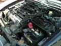 2000 Super Black Nissan Maxima GLE  photo #13