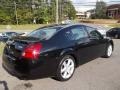 Onyx Black - Maxima 3.5 SE Photo No. 6