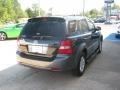 2008 Ebony Black Kia Sorento EX  photo #5