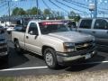 2006 Silver Birch Metallic Chevrolet Silverado 1500 LS Regular Cab  photo #1