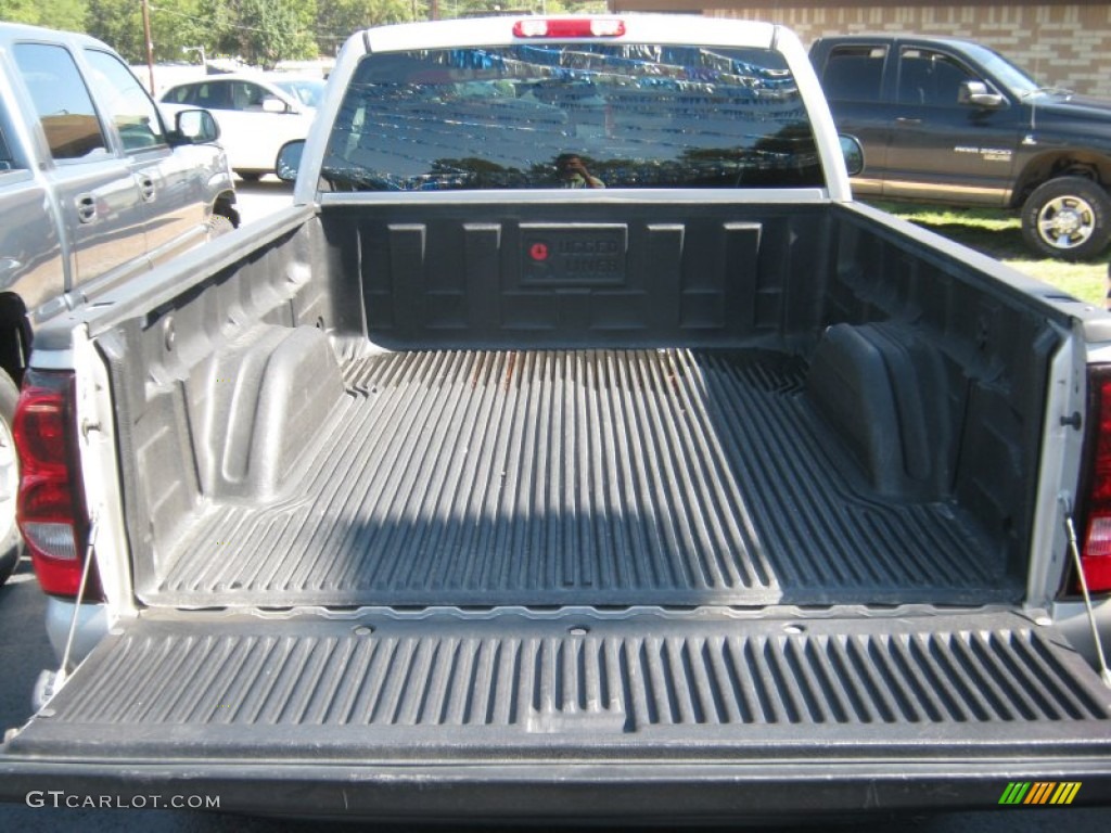 2006 Silverado 1500 LS Regular Cab - Silver Birch Metallic / Dark Charcoal photo #10