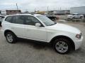 Alpine White - X3 3.0i Photo No. 7