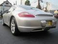 Arctic Silver Metallic - Cayman S Photo No. 9