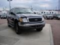 2001 Deep Wedgewood Blue Metallic Ford Expedition XLT 4x4  photo #4