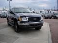Deep Wedgewood Blue Metallic - Expedition XLT 4x4 Photo No. 4