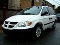 Stone White 2007 Dodge Caravan C/V Exterior