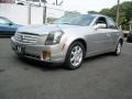 Light Platinum - CTS Sedan Photo No. 2