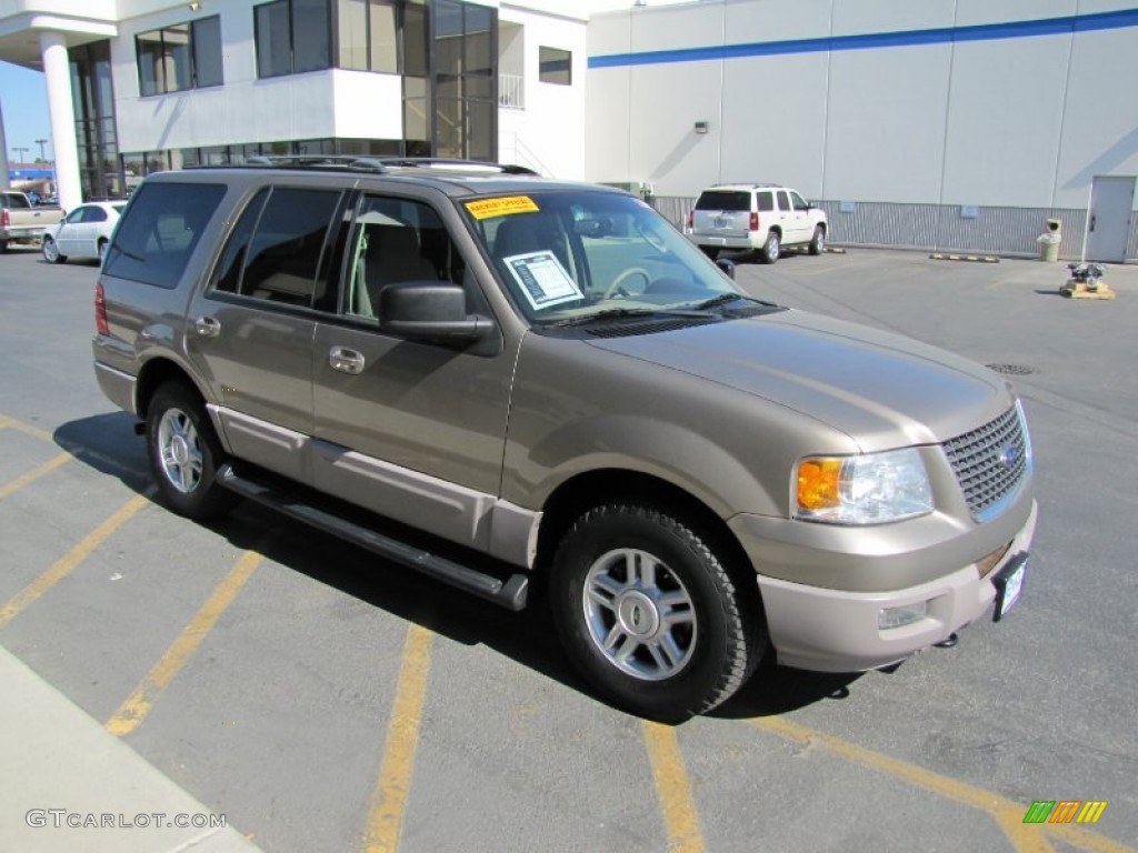 2003 Expedition XLT 4x4 - Arizona Beige Metallic / Medium Parchment photo #34