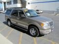 2003 Arizona Beige Metallic Ford Expedition XLT 4x4  photo #34
