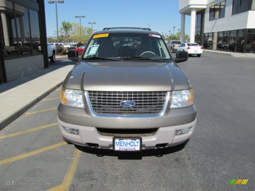 2003 Expedition XLT 4x4 - Arizona Beige Metallic / Medium Parchment photo #35