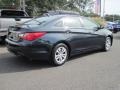 Pacific Blue Pearl - Sonata GLS Photo No. 3