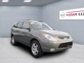 2008 Natural Khaki Metallic Hyundai Veracruz Limited AWD  photo #4