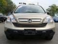 Borrego Beige Metallic - CR-V EX 4WD Photo No. 5