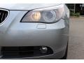 Silver Grey Metallic - 5 Series 530xi Sedan Photo No. 30