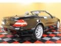 Black - SL 550 Roadster Photo No. 2