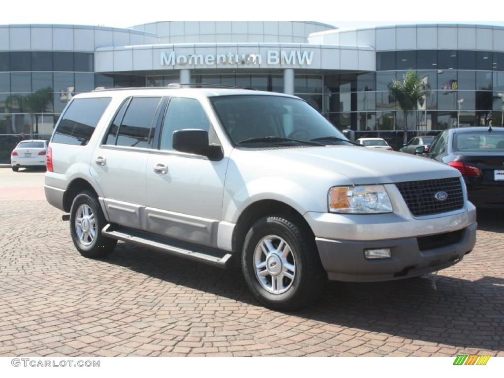 2003 Expedition XLT - Silver Birch Metallic / Flint Grey photo #1