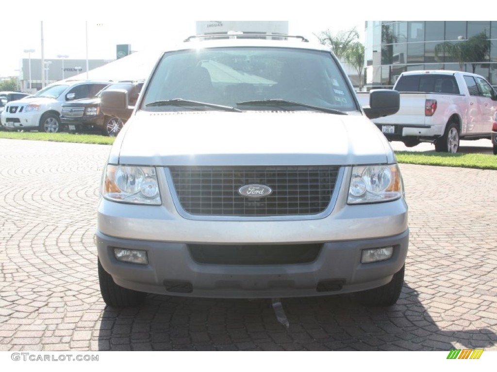 2003 Expedition XLT - Silver Birch Metallic / Flint Grey photo #2