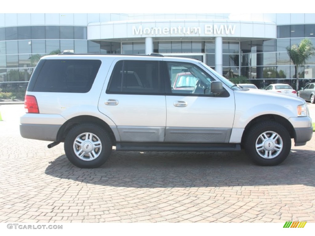 2003 Expedition XLT - Silver Birch Metallic / Flint Grey photo #3