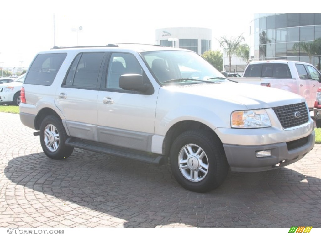 2003 Expedition XLT - Silver Birch Metallic / Flint Grey photo #4