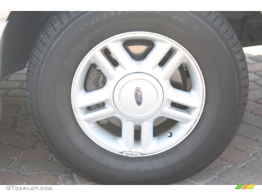 2003 Expedition XLT - Silver Birch Metallic / Flint Grey photo #5