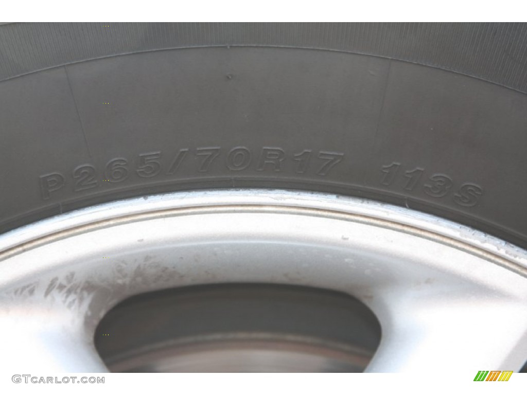 2003 Expedition XLT - Silver Birch Metallic / Flint Grey photo #6