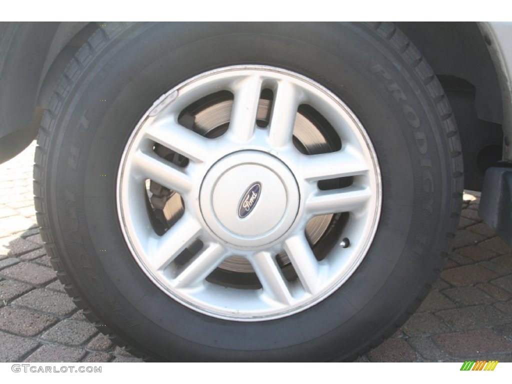 2003 Expedition XLT - Silver Birch Metallic / Flint Grey photo #7