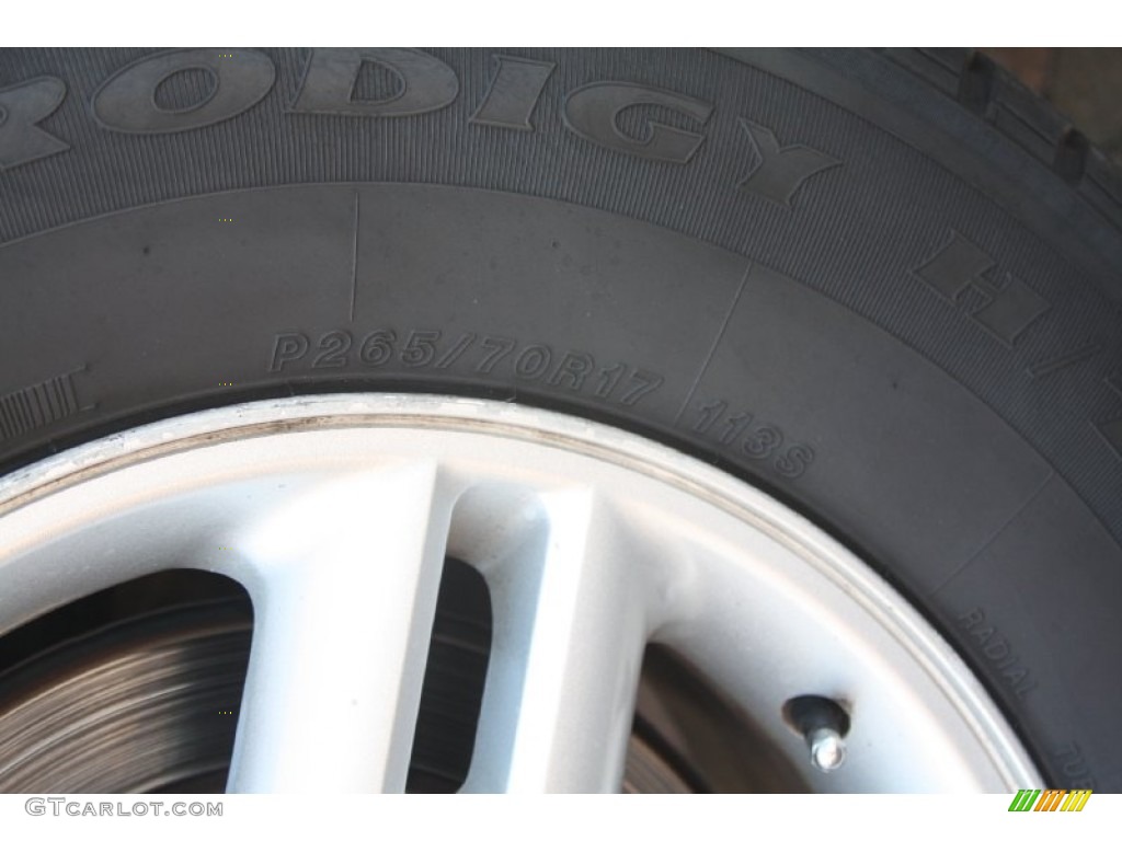 2003 Expedition XLT - Silver Birch Metallic / Flint Grey photo #8