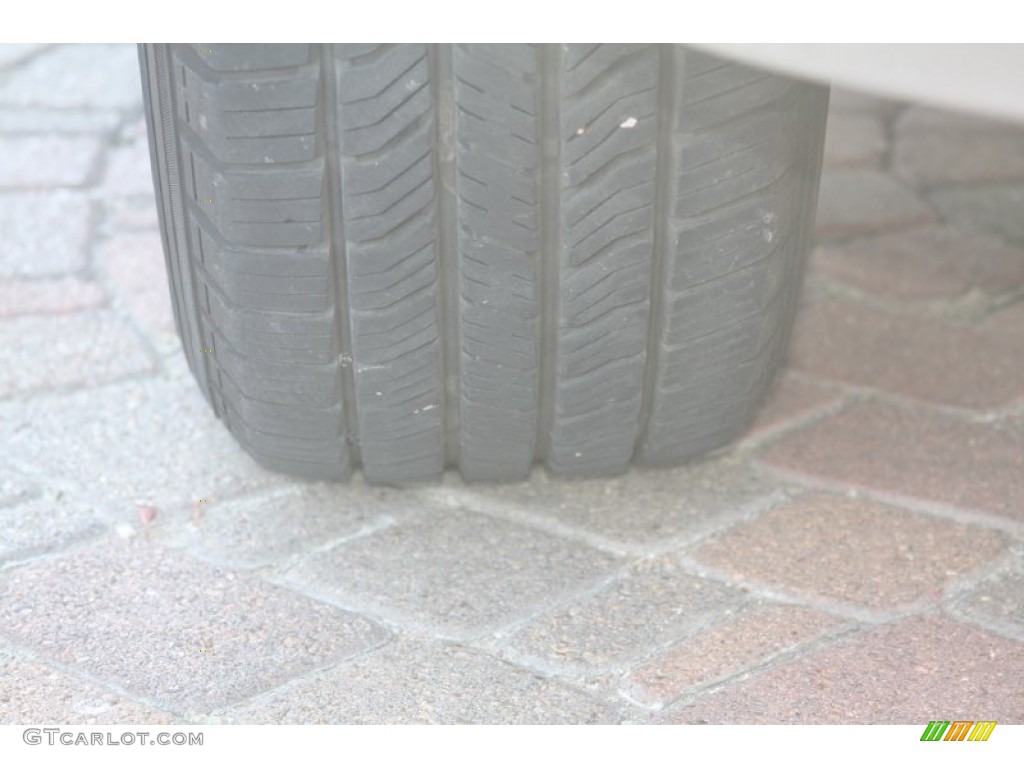 2003 Expedition XLT - Silver Birch Metallic / Flint Grey photo #9