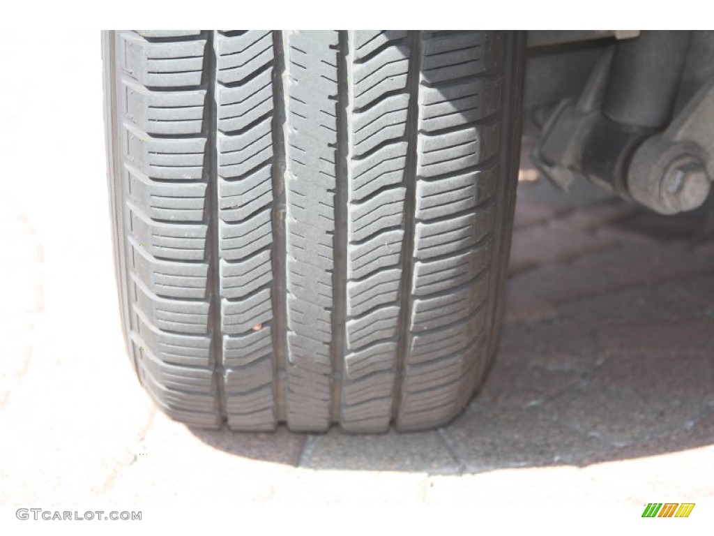 2003 Expedition XLT - Silver Birch Metallic / Flint Grey photo #10