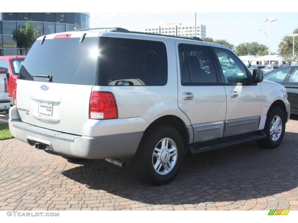 2003 Expedition XLT - Silver Birch Metallic / Flint Grey photo #11