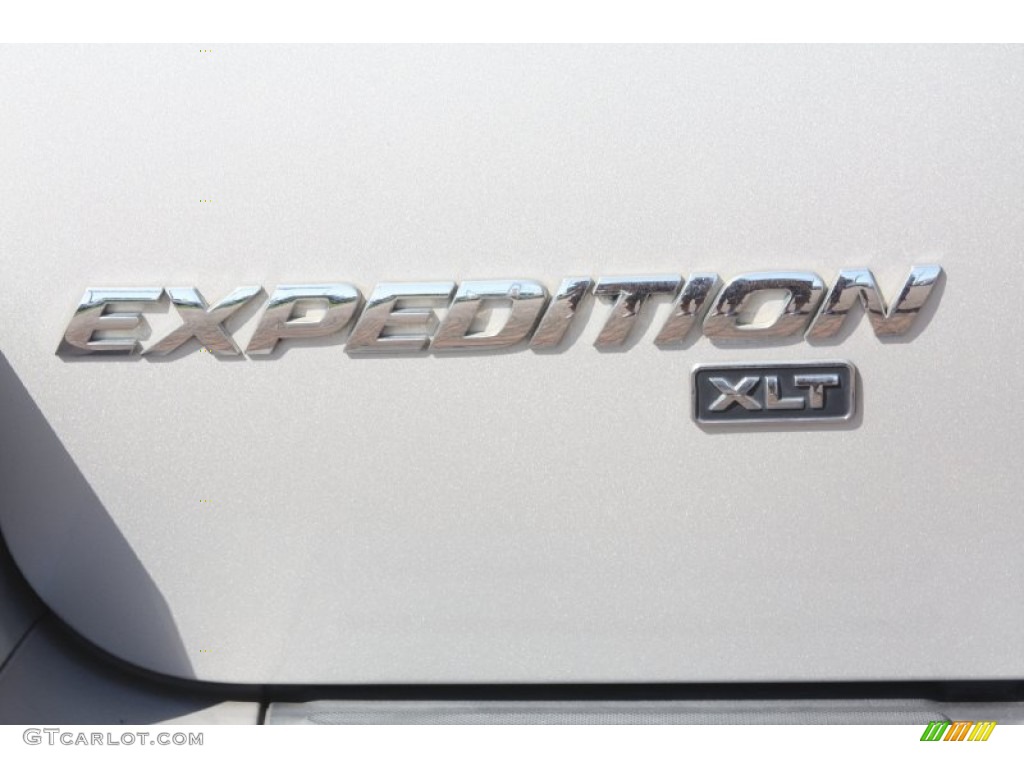 2003 Expedition XLT - Silver Birch Metallic / Flint Grey photo #13