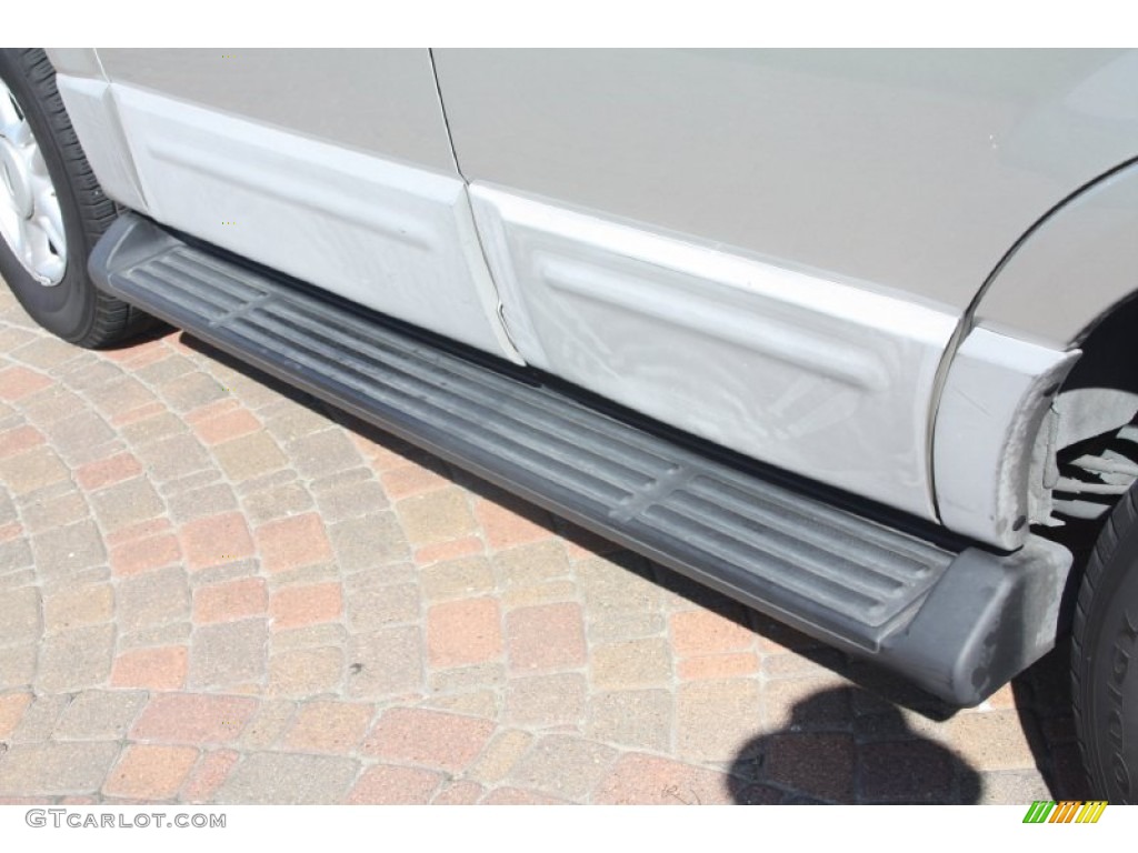 2003 Expedition XLT - Silver Birch Metallic / Flint Grey photo #14