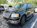 Black Clearcoat - Expedition XLT Photo No. 4