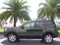Epsom Green Metallic - Freelander HSE Photo No. 1