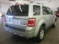 2009 Sterling Grey Metallic Ford Escape Limited V6 4WD  photo #2