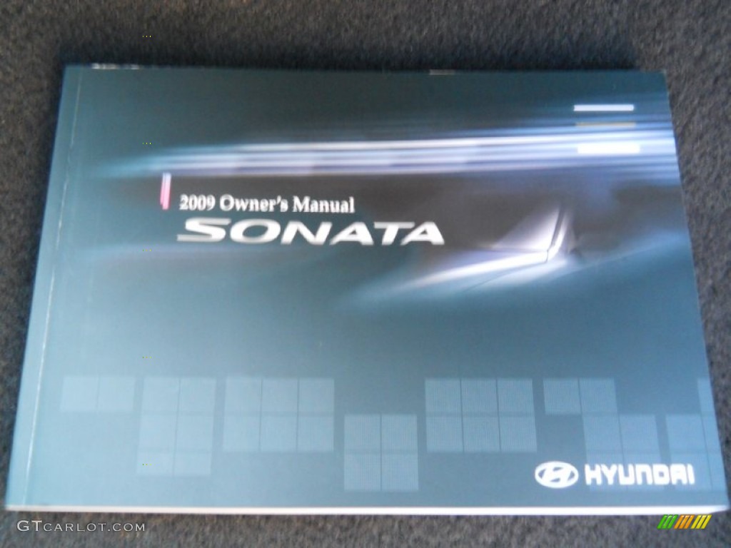 2009 Sonata Limited V6 - Cocoa Metallic / Gray photo #28