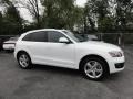 Ibis White 2009 Audi Q5 3.2 Premium quattro Exterior