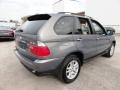 Stratus Grey Metallic - X5 3.0i Photo No. 8
