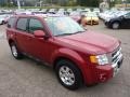 2010 Sangria Red Metallic Ford Escape Limited V6  photo #6