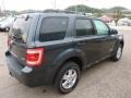 Black Pearl Slate Metallic - Escape XLT V6 4WD Photo No. 4