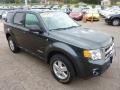 Black Pearl Slate Metallic - Escape XLT V6 4WD Photo No. 6