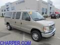Pueblo Gold 2010 Ford E Series Van E350 XLT Passenger