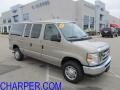 2010 Pueblo Gold Ford E Series Van E350 XLT Passenger  photo #1