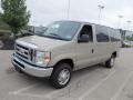 2010 Pueblo Gold Ford E Series Van E350 XLT Passenger  photo #5