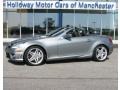 2010 Palladium Silver Metallic Mercedes-Benz SLK 55 AMG Roadster  photo #1