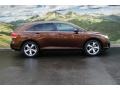 Sunset Bronze Mica - Venza V6 AWD Photo No. 2