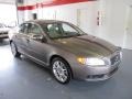 Oyster Gray Metallic - S80 T6 AWD Photo No. 5