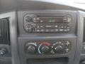 2002 Dodge Ram 1500 SLT Regular Cab Audio System