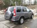 2006 Pewter Pearl Honda CR-V LX  photo #11